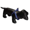 Arnés para perro de Nylon UpDog Azul