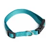 Collar para perro Nylon UpDog Turquesa