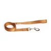 Correa para perro Nylon Updog Ocre