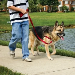 Alternative view of Arnés antitirones EasyWalk PetSafe Rojo