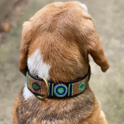 Collar para perro de cuero hecho a mano en España Nilo Rumba