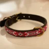Collar para perro de cuero hecho a mano en España Noah Rumba