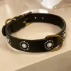 Collar para perro de cuero hecho a mano en España Rumba