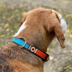 Collar para perro de cuero hecho a mano en España Rumba Maasai