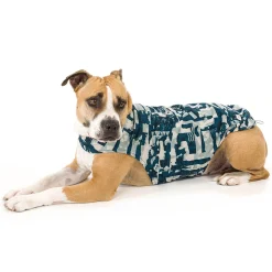 chubasquero perros impermeable azul