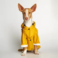 Chubasquero para perro The Painter's Wife Sarah Amarillo