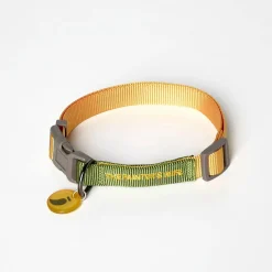 Collar para perro de nylon The Painter's Wife verde y amarillo