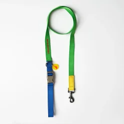 Correa para perro de nylon The Painter's Wife verde