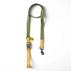 Correa para perro de nylon The Painter's Wife verde oliva