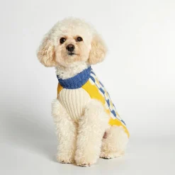 Jersey para perro The Painter's Wife Azul y Amarillo