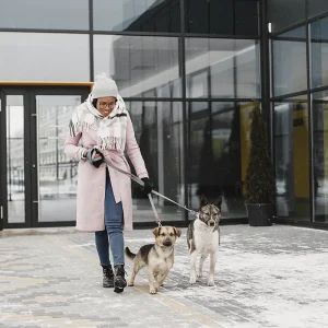 PetFriendly Madrid