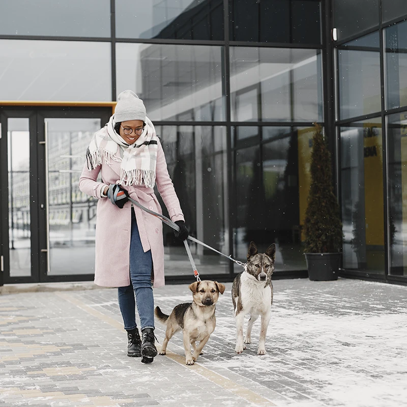 PetFriendly Madrid