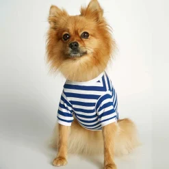 Camiseta para perro The Painter's Wife Azul