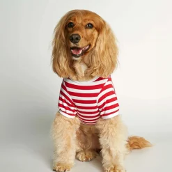 Camiseta para perro The Painter's Wife Roja
