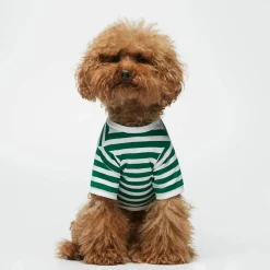 Camiseta para perro The Painter's Wife Verde