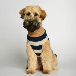 Jersey para perro The Painter's Wife Azul y Beige