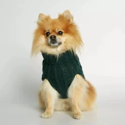 Jersey para perro The Painter's Wife Verde