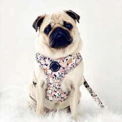 Alternative view of Arnés Ajustable Poppy + Ted Party Pup