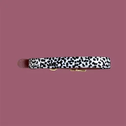 Alternative view of Collar Poppy + Ted Berry Dalmatian