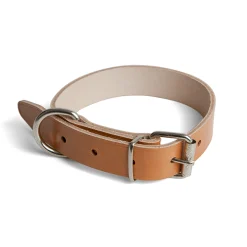 Collar en vaqueta para perros