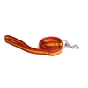 Correa de nylon para perros con bandera de España