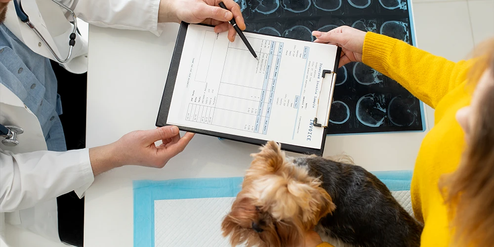 pruebas diagnosticas perros