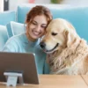 Revisión de menú para perro online
