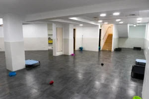 UpDog Guarderia Canina Madrid
