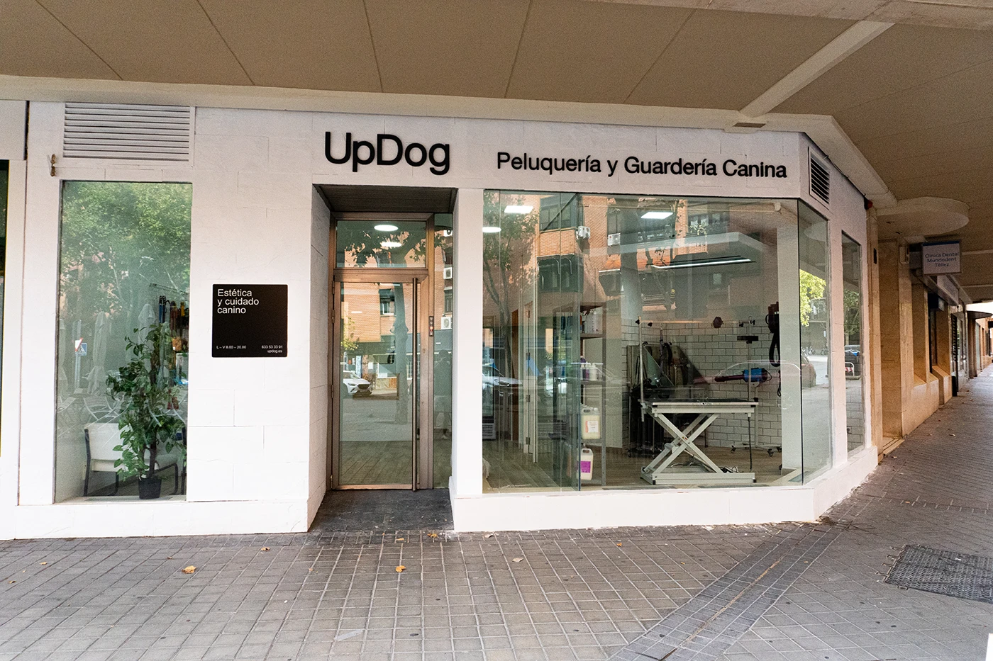UpDog Guarderia y Peluqueria Canina Pacifico copy