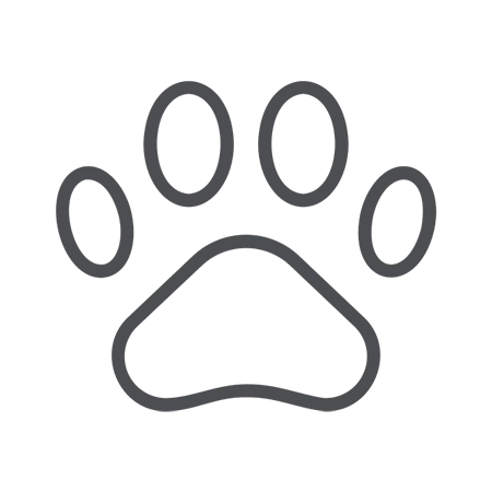 cachorros