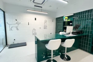 UpDog ECI Pozuelo Veterinario Peluqueria
