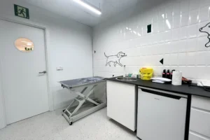 Veterinario UpDog El Corte Ingles Pozuelo