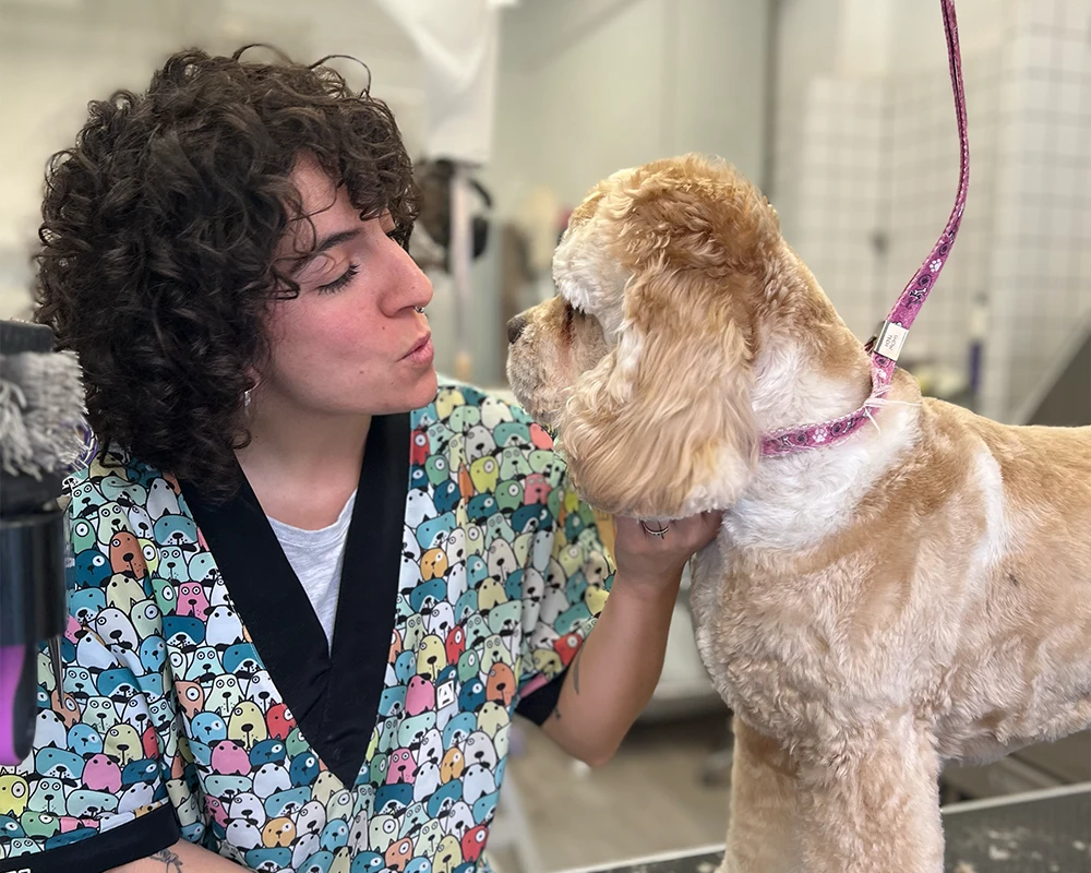 peluqueria canina en madrid