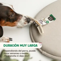 Alternative view of Asta de Ciervo partida
